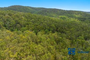 Property Lot 7 Cyril Smith Circuit, Tabulam NSW 2469 IMAGE 0