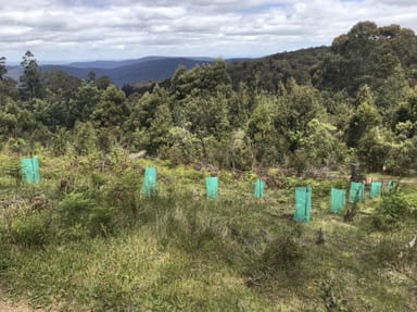 Property 1 Currawong Drive, Gembrook VIC 3783 IMAGE 0