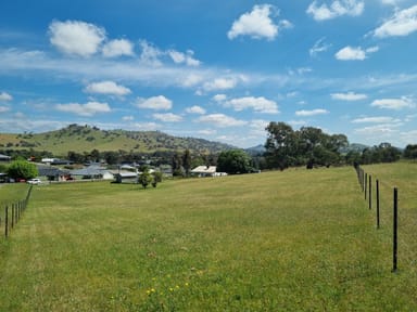 Property Lot 336 Neil McInerney Street, GUNDAGAI NSW 2722 IMAGE 0