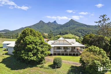 Property 26 Marshall Street, Uki NSW 2484 IMAGE 0