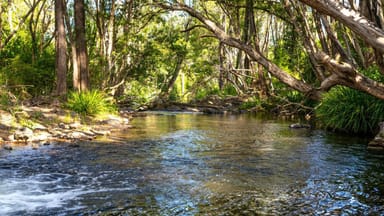 Property 183 Bobin Creek Road, Bobin NSW 2422 IMAGE 0