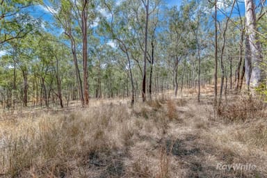 Property 103 Doughboy Road, DOUGHBOY QLD 4671 IMAGE 0