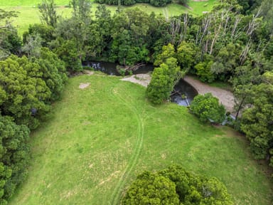 Property 31, 55-59 North Island Loop Road, Upper Orara NSW 2450 IMAGE 0