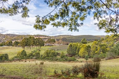 Property 304 Dickensons Creek Road, GLEN HUON TAS 7109 IMAGE 0