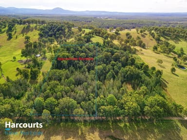 Property 795 Minimbah Road, MINIMBAH NSW 2312 IMAGE 0