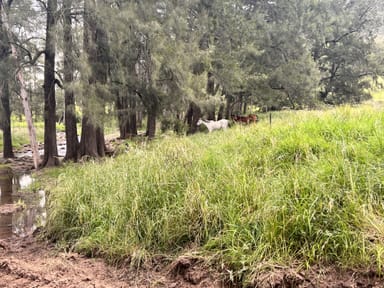 Property Lot 83 1118 Neringla Road, ARALUEN NSW 2622 IMAGE 0