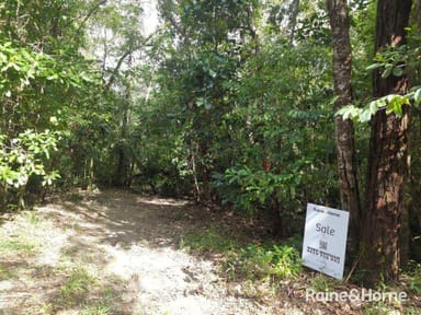 Property Lot 246 White Beech Road, Cow Bay QLD 4873 IMAGE 0