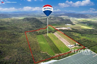 Property 78 Fabris Road, DIMBULAH QLD 4872 IMAGE 0