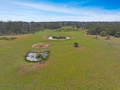 Property 1, 5533 South Gippsland Highway, Stradbroke VIC 3851 IMAGE 0