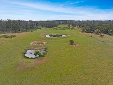 Property 1, 5565 South Gippsland Highway, Stradbroke VIC 3851 IMAGE 0