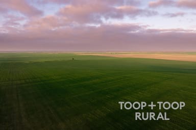 Property 735 Koch Road (via Loxton), Taldra SA 5311 IMAGE 0