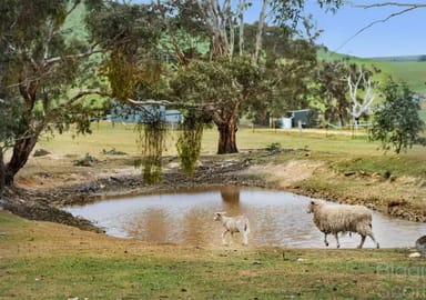 Property 1825 McCallums Creek Road, Dunach VIC 3371 IMAGE 0