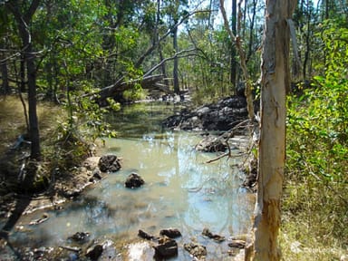 Property KULLOGUM QLD 4660 IMAGE 0