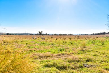 Property 1148 Manilla Road Hallsville, TAMWORTH NSW 2340 IMAGE 0