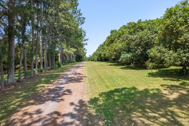 Property 345-387 Friday Hut Road, Brooklet NSW 2479 IMAGE 0