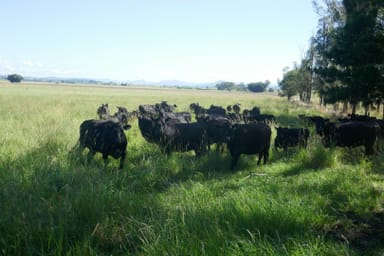Property 150 Fairy Hill Station Rd, Casino NSW 2470 IMAGE 0