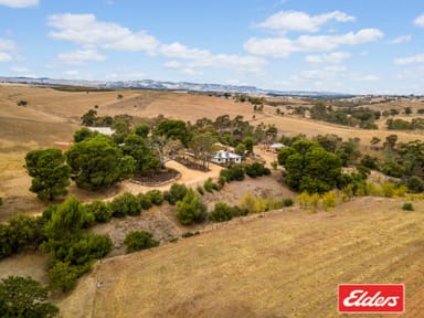 Property 30 Harvey Road, Lyndoch SA 5351 IMAGE 0