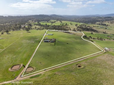 Property 21 Waterson Lane, Carlton  IMAGE 0