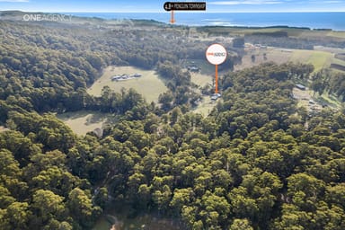 Property 159 White Hills Road, Penguin TAS 7316 IMAGE 0