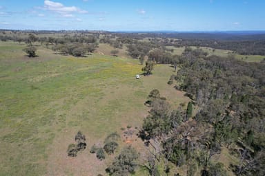 Property MERRIWA NSW 2329 IMAGE 0