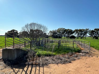 Property Mittagong Yerong Creek Road, Yerong Creek NSW 2642 IMAGE 0