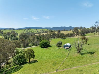 Property 244 Buchan Ensay Road, REEDY FLAT VIC 3895 IMAGE 0