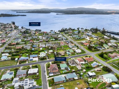 Property 19 Napier Street, Beauty Point TAS 7270 IMAGE 0