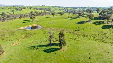 Property 13703 Hume Highway, MULLENGANDRA NSW 2644 IMAGE 0