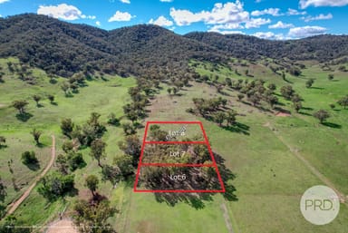 Property Lot 6 DP 24002 Commons Road, Nundle Road, DUNGOWAN NSW 2340 IMAGE 0