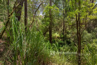 Property 2780 Gembrook-Launching Place Road, Gembrook VIC 3783 IMAGE 0