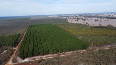Property Lot 1 Jim Ryans Road, Edenhope VIC 3318 IMAGE 0
