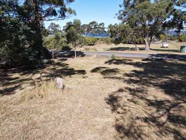 Property 21 Dunn Drive, SURVEYORS BAY TAS 7116 IMAGE 0
