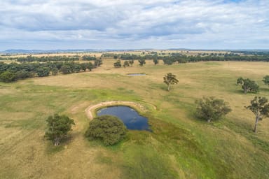 Property 96 Stubbo Road, GULGONG NSW 2852 IMAGE 0