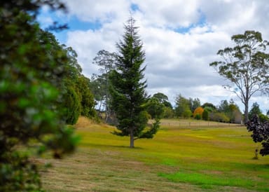 Property 89 Batman Highway, Sidmouth TAS 7270 IMAGE 0