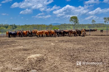 Property 67 Mineral Road, Rosedale QLD 4674 IMAGE 0