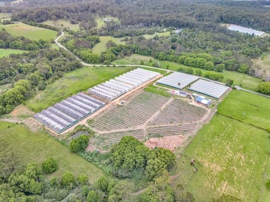 Property 289 Mardells Road, Bucca NSW 2450 IMAGE 0