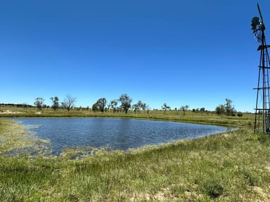 Property 5227 Carnarvon Highway, Roma QLD 4455 IMAGE 0