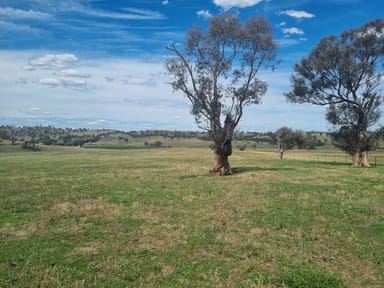 Property 3 Cooney'S Creek Road, Jugiong NSW 2726 IMAGE 0