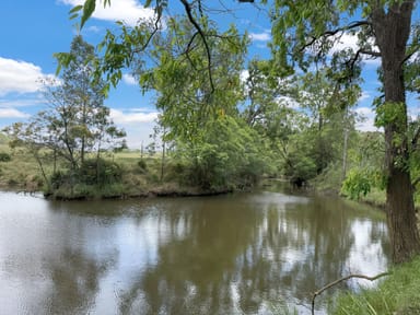 Property 3324 Great North Road, Wollombi NSW 2325 IMAGE 0