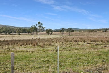 Property Lot 2, Rosedale Road, BICHENO TAS 7215 IMAGE 0