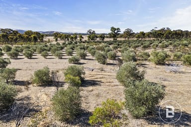 Property 3320 Ararat - St Arnaud Road, Navarre VIC 3384 IMAGE 0