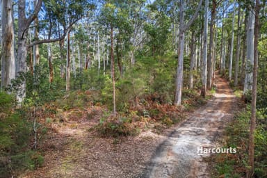 Property Bannons Bridge Road, GUNNS PLAINS TAS 7315 IMAGE 0