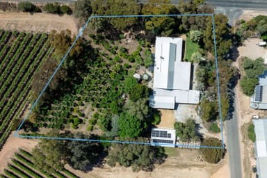 Property 8 The Avenue, Waikerie SA 5330 IMAGE 0