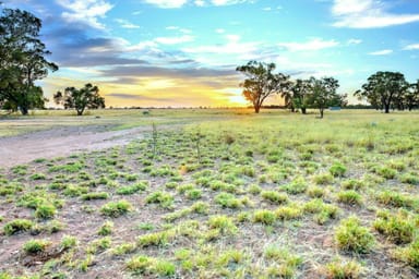 Property "Warrabah" 796 Warrabah Road, Coonamble NSW 2829 IMAGE 0