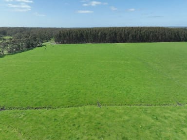 Property 260 Swan Marsh-Stonyford Road, Pirron Yallock VIC 3258 IMAGE 0