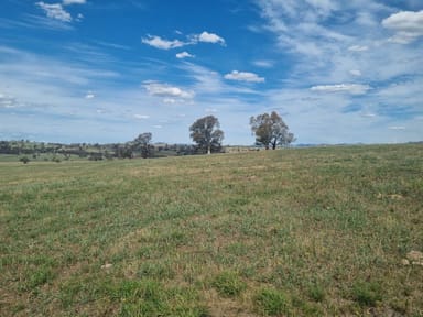 Property 3 Cooney'S Creek Road, Jugiong NSW 2726 IMAGE 0