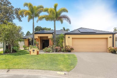 Property 11 Tuckeroo Place, REEDY CREEK QLD 4227 IMAGE 0