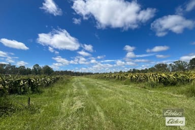 Property 288 Blowers Road, Munna Creek QLD 4570 IMAGE 0