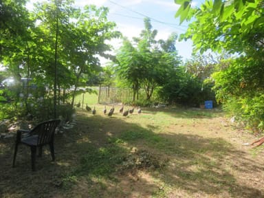 Property 34 Queen Street, Chillagoe QLD 4871 IMAGE 0