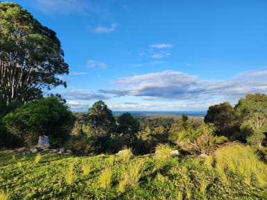Property 67 Omaru Lane, LOCHIEL Via, Pambula NSW 2549 IMAGE 0